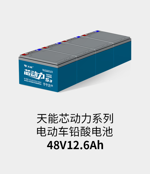 德赢VWIN电池48v12ah