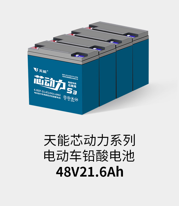 德赢VWIN电池48v20ah