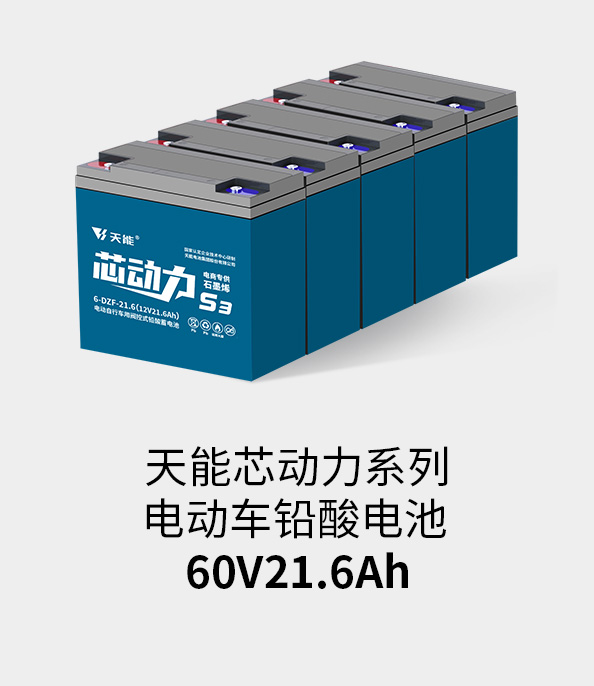 德赢VWIN电池60v20ah