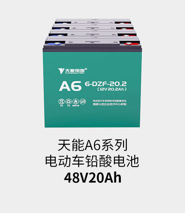 德赢VWIN电池48v20ah