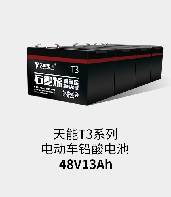 德赢VWINT3系列48v13ah