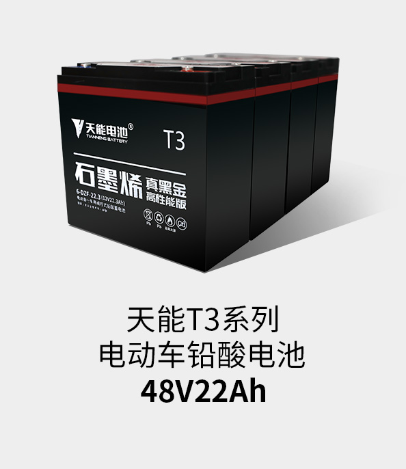 德赢VWINT3系列48v22ah