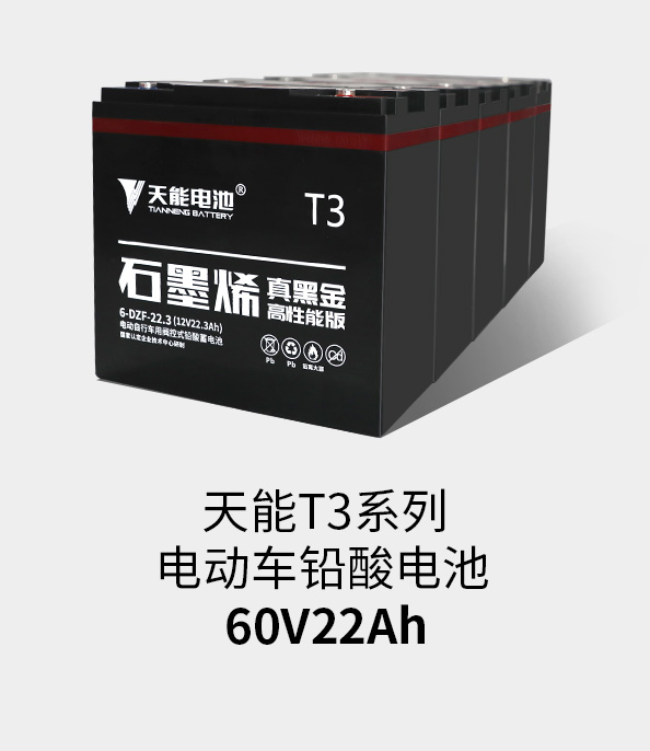 德赢VWINT3系列60v22ah
