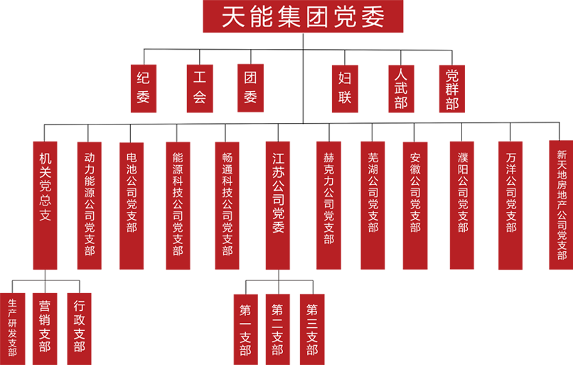 德赢VWIN建团党委组织架构